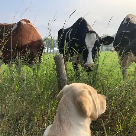 Brour&bos Frühstückspension Laren (Gelderland)